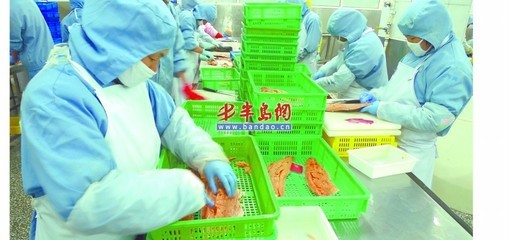 歐美需求激增，青島海產品加工企業全力以赴趕訂單
